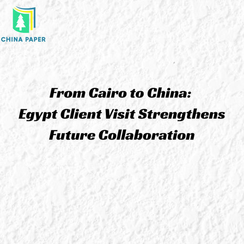 Dernières solutions de l'entreprise Du Caire à la Chine: la visite d'un client égyptien renforce la collaboration future